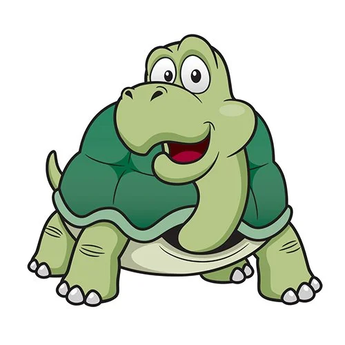 Цветной пример раскраски большая черепаха в возрасте