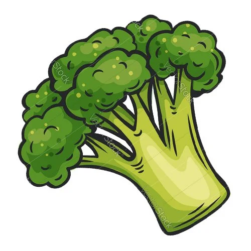 Цветной вариант раскраски брокколи есть нужно