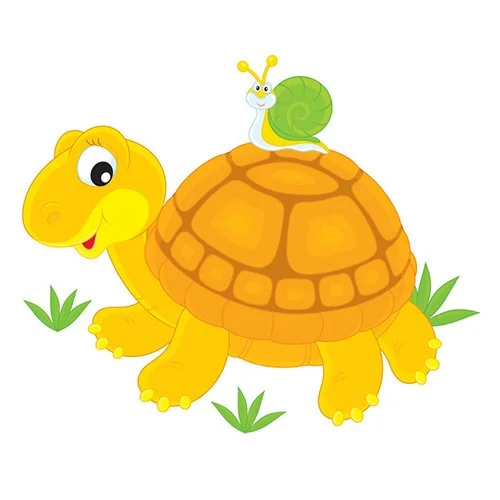 Цветной вариант раскраски черепаха и улитка