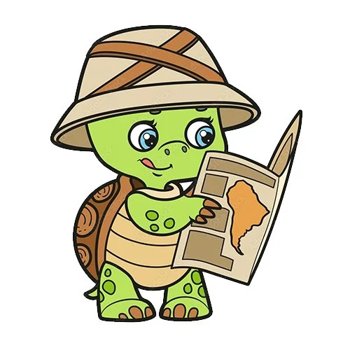 Цветной пример раскраски черепаха смотрит карту