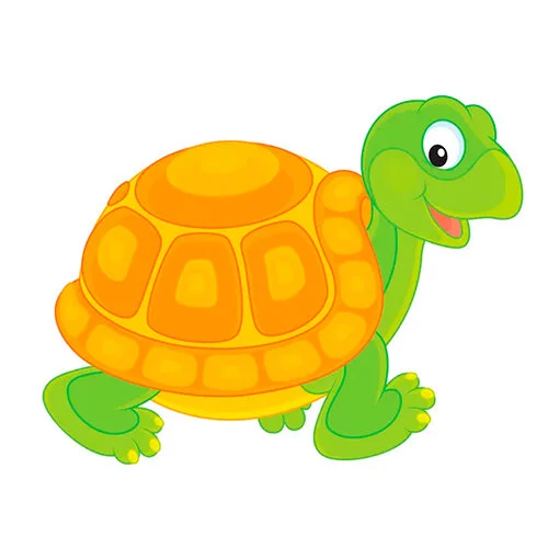 Цветной вариант раскраски черепашка с красивым домиком