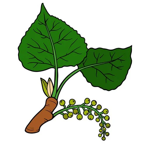 Цветной пример раскраски черный тополь листья