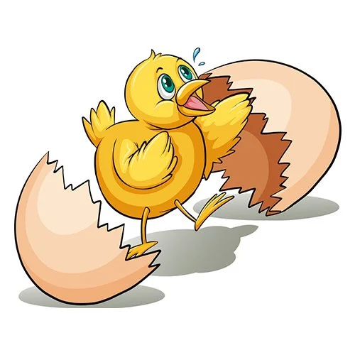 Цветной вариант раскраски цыпленок разбил яйцо