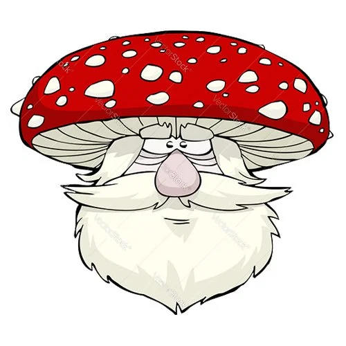 Цветной вариант раскраски дедушка-гриб мухомор