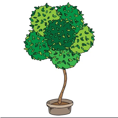 Цветной вариант раскраски дерево в горшке