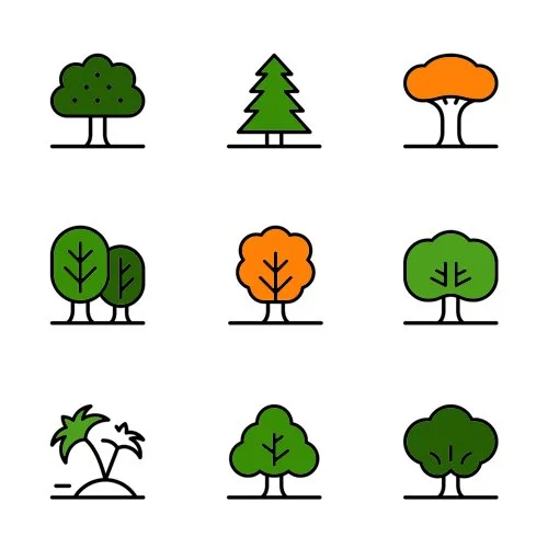 Цветной вариант раскраски деревья разные виды