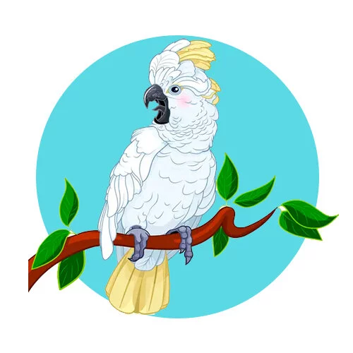 Цветной вариант раскраски дикий попугая