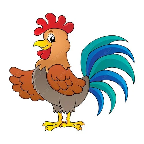 Цветной вариант раскраски довольный петух