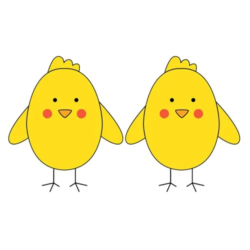 Цветной вариант раскраски два цыпленка обведи линии