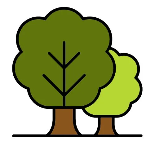 Цветной вариант раскраски два деревца