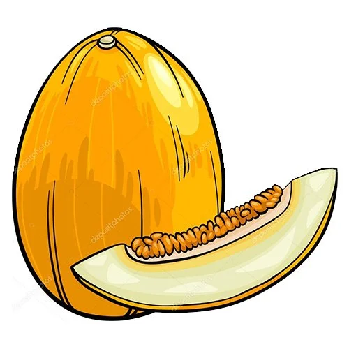 Цветной вариант раскраски дыня и кусочек