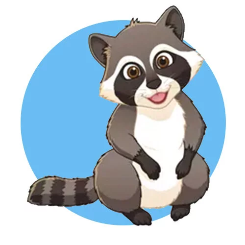 Цветной пример раскраски енот красавчик