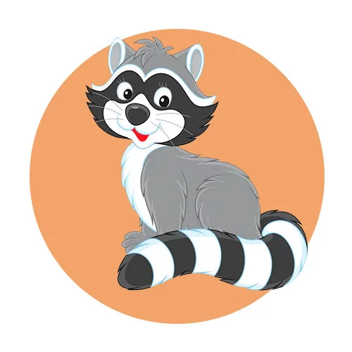 Цветной вариант раскраски енот сидит пушистый хвост