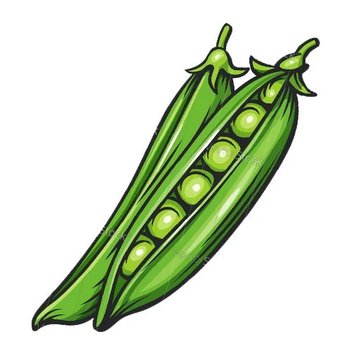 Цветной вариант раскраски горошек (горох)