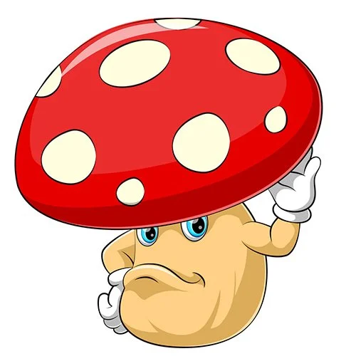 Цветной вариант раскраски гриб живой