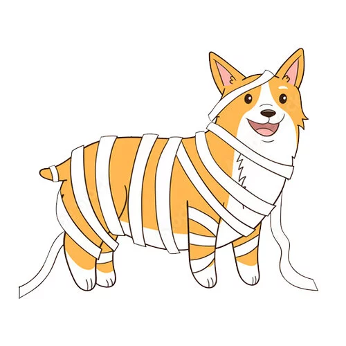 Цветной вариант раскраски хэллоуин корги