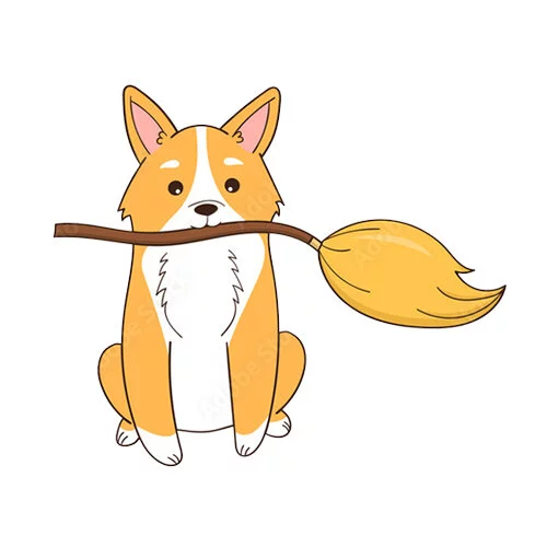 Цветной вариант раскраски хэллоуин корги с метлой