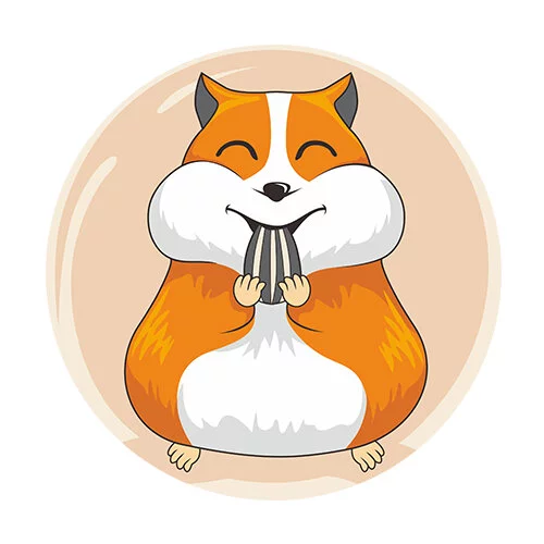 Цветной вариант раскраски хомяк есть семечку