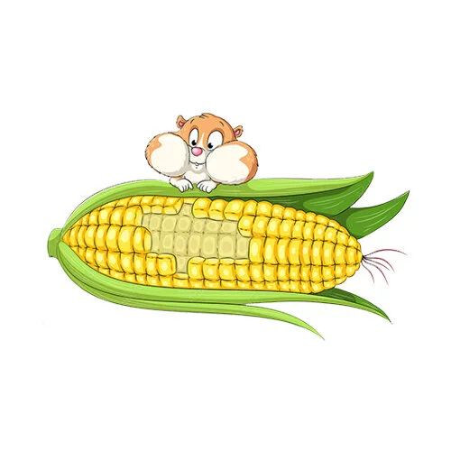 Цветной вариант раскраски хомяк и кукуруза
