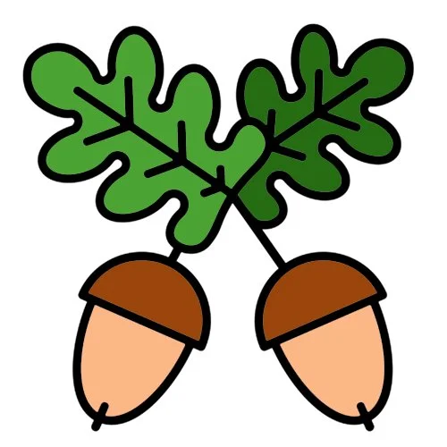 Цветной вариант раскраски желудь и дубовый лист
