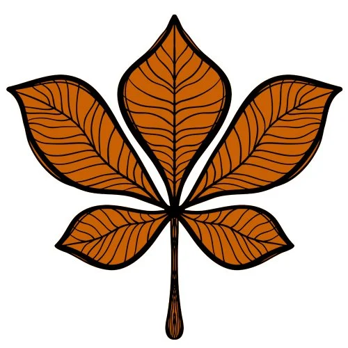 Цветной вариант раскраски каштановый лист