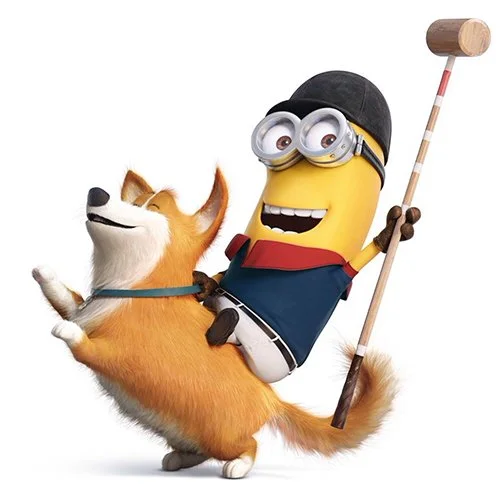 Цветной вариант раскраски кевин на корги