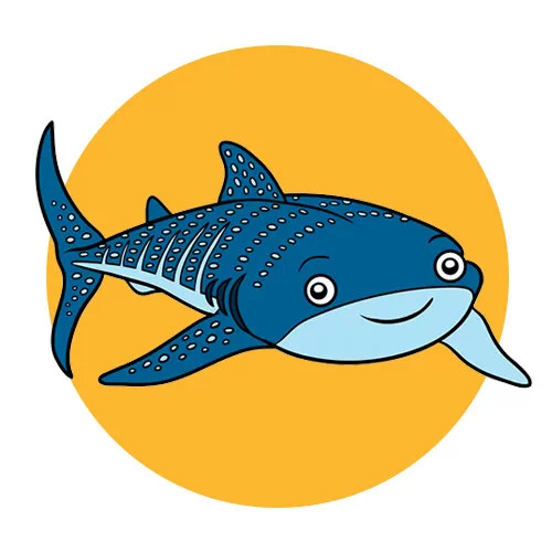 Цветной пример раскраски китовая акула улыбается