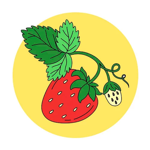 Цветной вариант раскраски клубника маленький кус