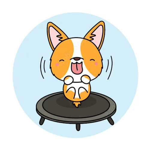 Цветной вариант раскраски корги на батуте