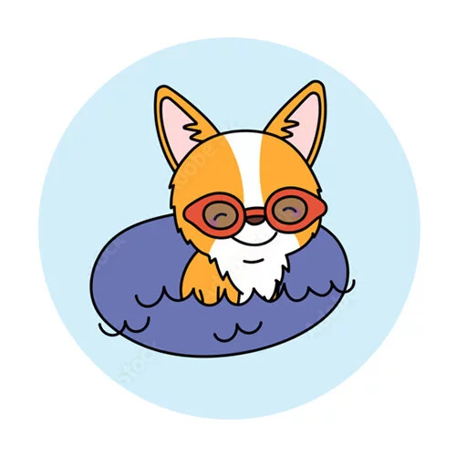 Цветной вариант раскраски корги на чилле