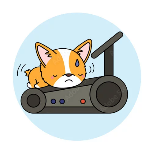 Цветной вариант раскраски корги на велодорожке