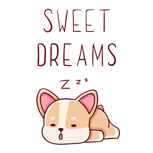 Цветной вариант раскраски корги спит