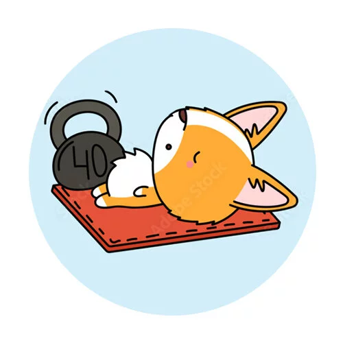 Цветной вариант раскраски корги спортсмен