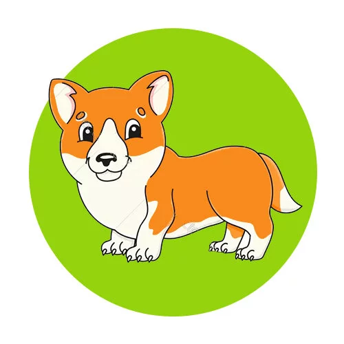 Цветной вариант раскраски корги забавный