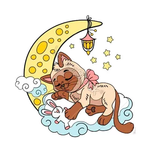 Цветной вариант раскраски кошечка кот спит на луне