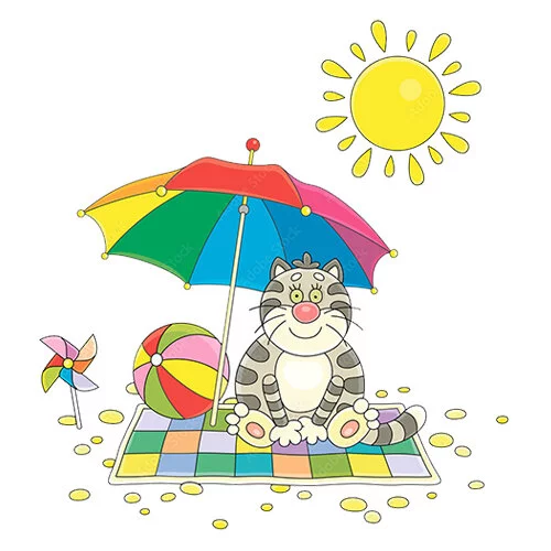 Цветной вариант раскраски котик и пляжный мяч