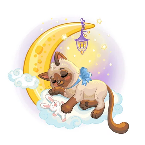 Цветной вариант раскраски котик спит на луне