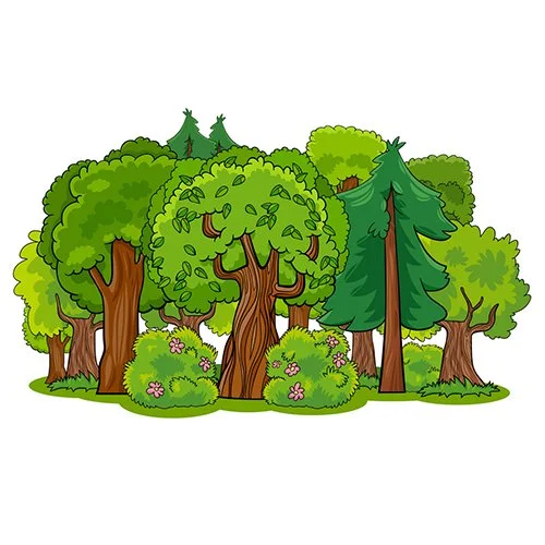 Цветной вариант раскраски летний лес