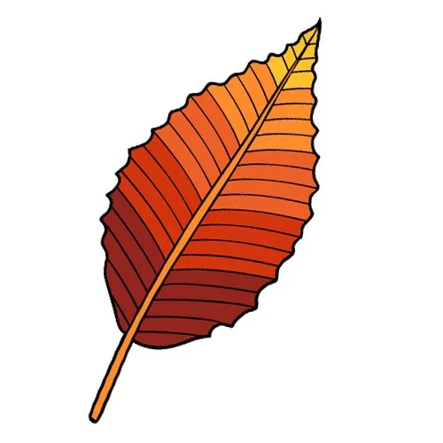 Цветной вариант раскраски лист с дерева
