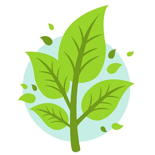 Цветной вариант раскраски листочек