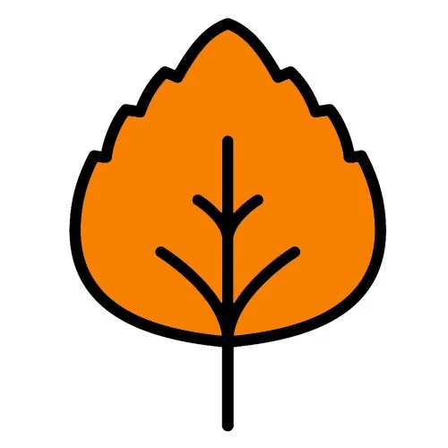 Цветной вариант раскраски листочек для малышей