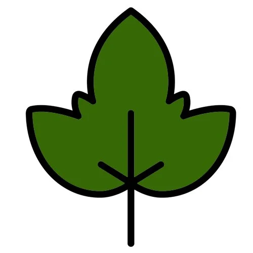 Цветной вариант раскраски листок иконка