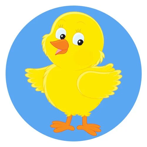 Цветной вариант раскраски маленький цыпленок