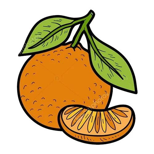 Цветной вариант раскраски мандарин с долькой