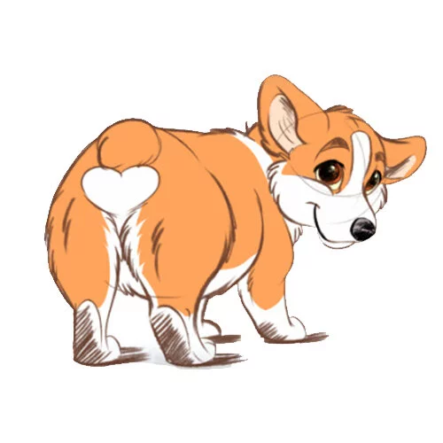 Цветной вариант раскраски милашка корги