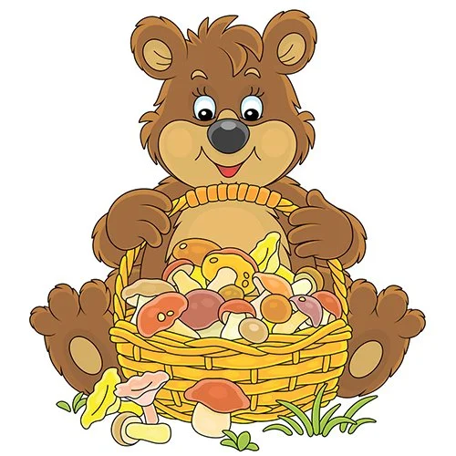 Цветной вариант раскраски мишками и корзинка с грибами