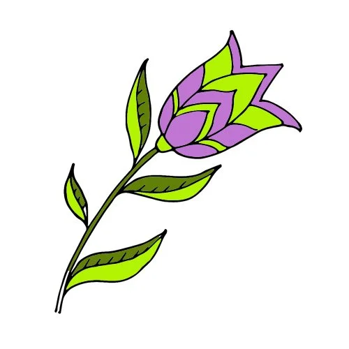 Цветной вариант раскраски необычный тюльпан