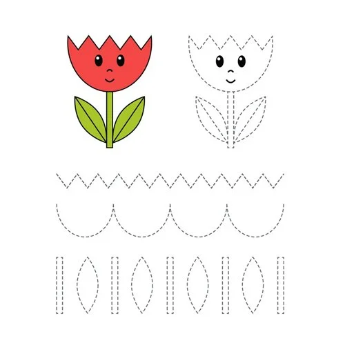 Цветной вариант раскраски обведи цветок тюльпан