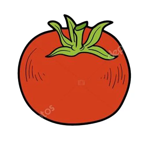 Цветной вариант раскраски обведи помидор по линии