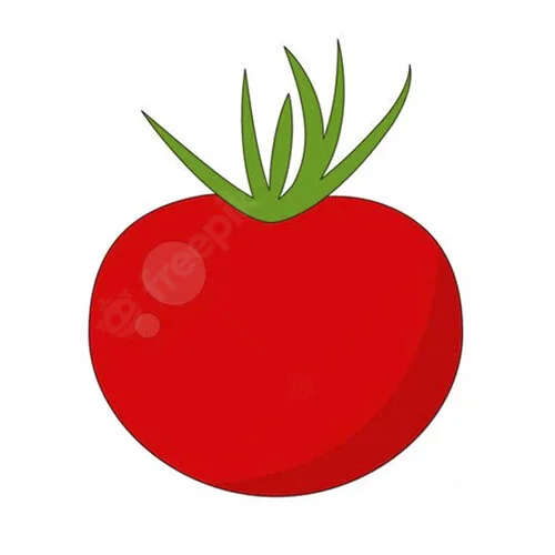 Цветной пример раскраски обведи томат по линии